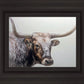 Longhorn