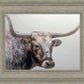 Longhorn