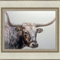 Longhorn