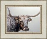 Longhorn