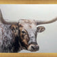 Longhorn