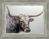 Longhorn