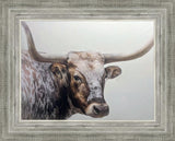 Longhorn