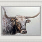 Longhorn