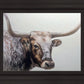 Longhorn