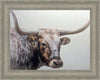 Longhorn