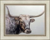 Longhorn