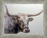 Longhorn