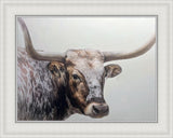 Longhorn