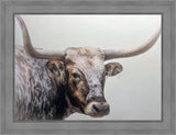 Longhorn