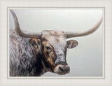 Longhorn