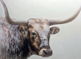 Longhorn