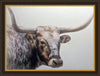 Longhorn Large Wall Art