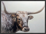 Longhorn Large Wall Art