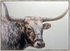 Longhorn Large Wall Art