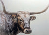 Longhorn Large Wall Art