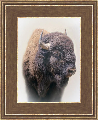 Bison