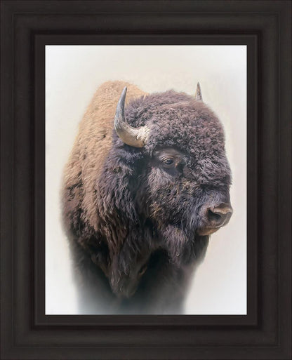 Bison