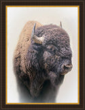 Bison Large Wall Art