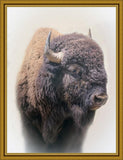 Bison Large Wall Art