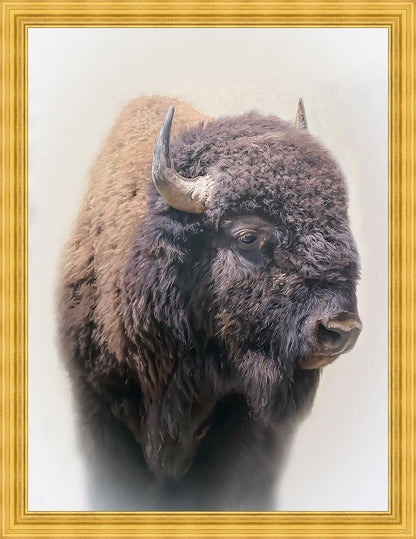 Bison Large Wall Art
