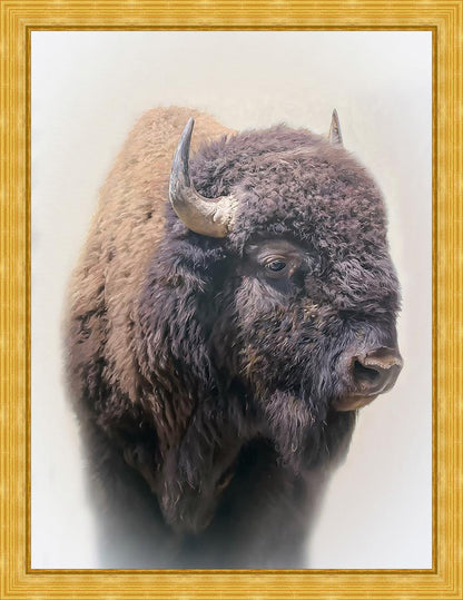 Bison Large Wall Art