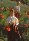 Poppies