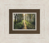 Enjoy The Beauty On Your Broken Path, Forest Walkway