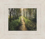 Enjoy The Beauty On Your Broken Path, Forest Walkway