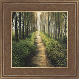 Enjoy The Beauty On Your Broken Path, Forest Walkway