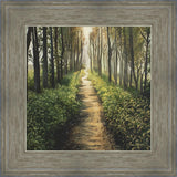 Enjoy The Beauty On Your Broken Path, Forest Walkway