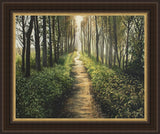 Enjoy The Beauty On Your Broken Path, Forest Walkway Large Wall Art