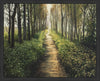 Enjoy The Beauty On Your Broken Path, Forest Walkway Large Wall Art