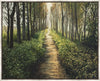 Enjoy The Beauty On Your Broken Path, Forest Walkway Large Wall Art