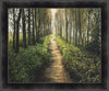 Enjoy The Beauty On Your Broken Path, Forest Walkway Large Wall Art