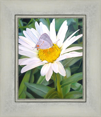 The Daisy and The Butterfly