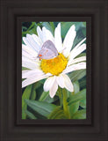 The Daisy and The Butterfly