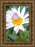 The Daisy and The Butterfly