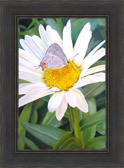 The Daisy and The Butterfly