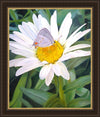 The Daisy and The Butterfly Large Wall Art