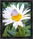 The Daisy and The Butterfly Large Wall Art