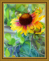 Indian Blanket Flower Large Wall Art