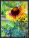 Indian Blanket Flower Large Wall Art