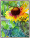 Indian Blanket Flower Large Wall Art