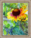 Indian Blanket Flower Large Wall Art