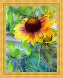 Indian Blanket Flower Large Wall Art