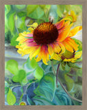 Indian Blanket Flower Large Wall Art