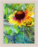 Indian Blanket Flower Large Wall Art