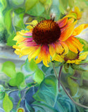 Indian Blanket Flower Large Wall Art