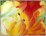 A Tulip for Fiona Large Wall Art